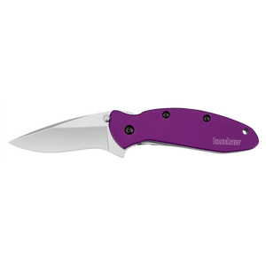 Kershaw Scallion 1620 Assisted Folding Knife